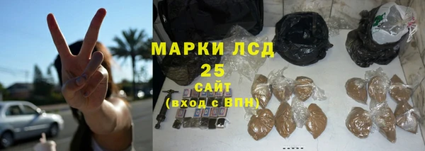 спайс Лагань