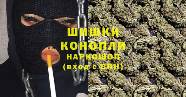 спайс Лагань