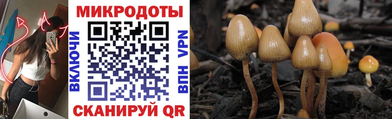 Галлюциногенные грибы прущие грибы  Курлово 